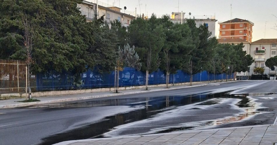 615047252_3541052782702117_3339698193368270963_n