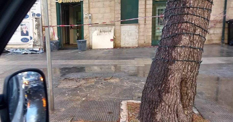 615455304_1243564947651040_647532888296605464_n