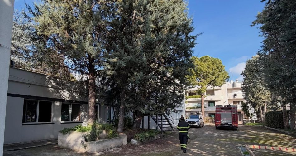 615928692_18058178171660876_760843276496045047_n