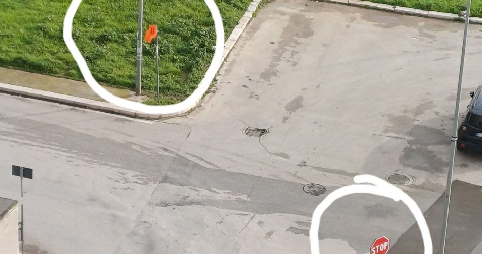 621799793_27219741407615515_17071891990236946_n