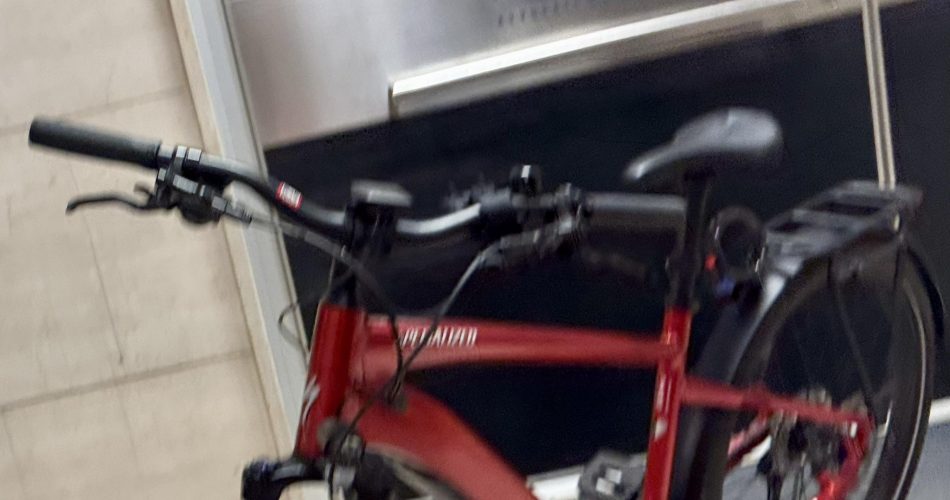 622345627_10236540279360344_4084654455516886767_n