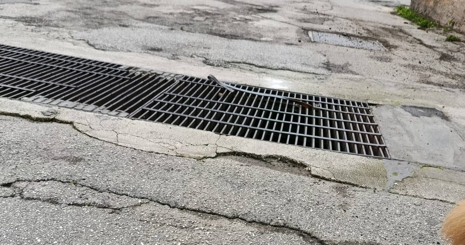 626680099_1894661304747371_2821978912899513687_n