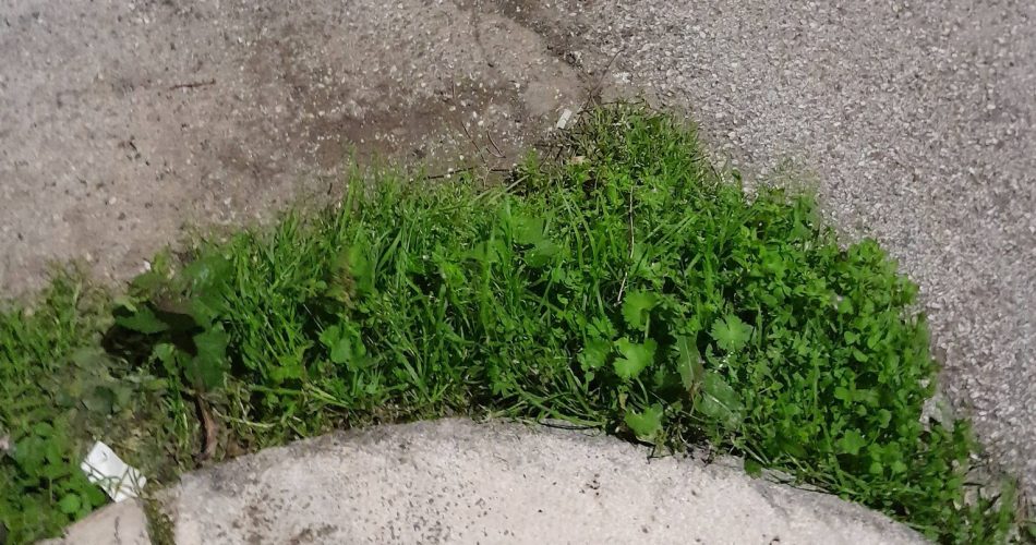 637056351_892916756863121_4420937817589752036_n