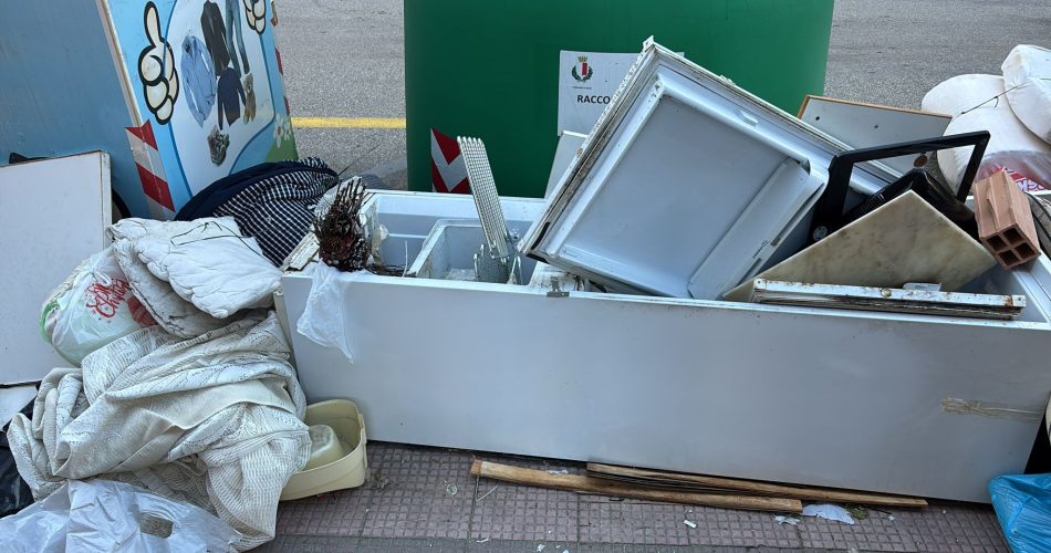 642401855_10241004663963140_1333150312148572127_n