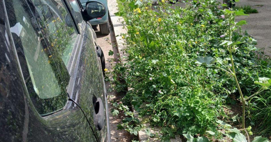 656962708_27059182407015815_5931450910692303570_n