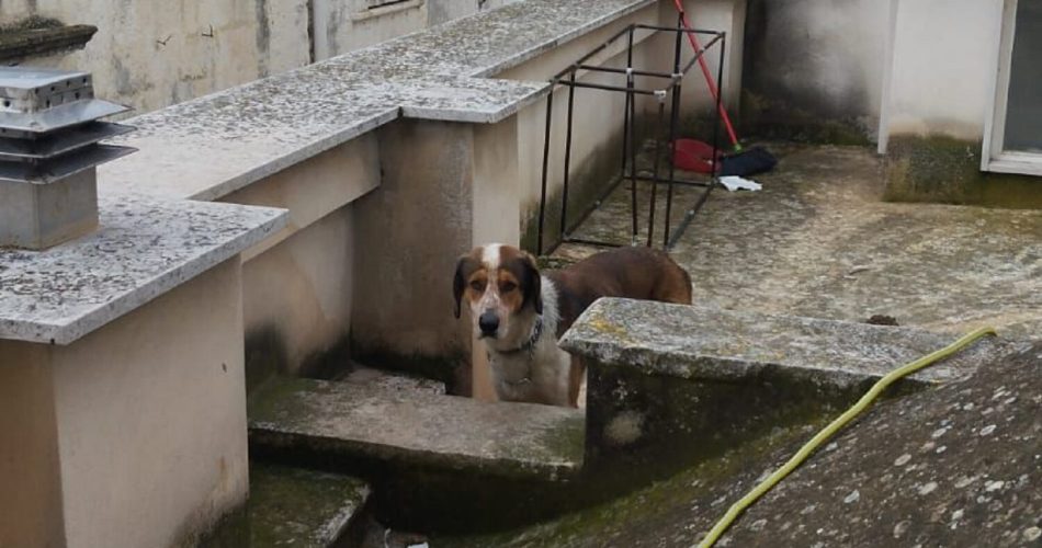 661965083_1323633866461126_8340860116749940271_n