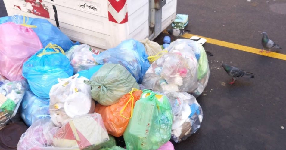 662882715_10237374205206427_3401756314645574262_n