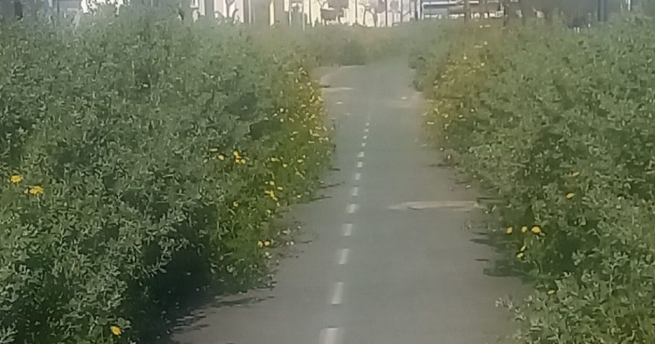 665795264_122164086962658434_4215482164063398377_n (1)