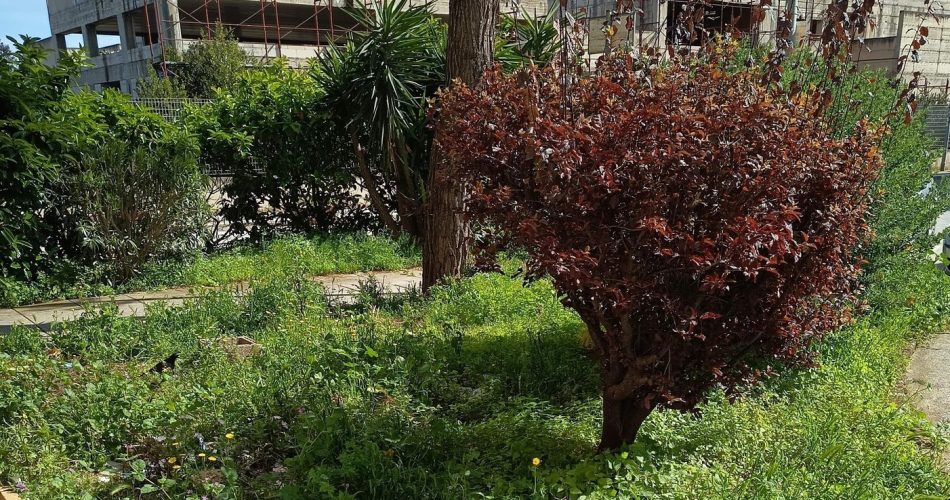 667616830_26969534639337251_5610944528552175233_n