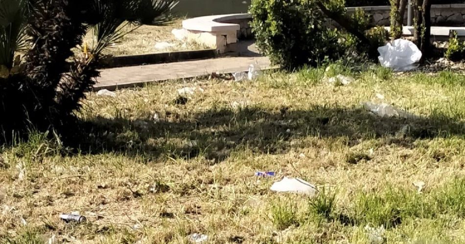 671559397_4469170679980963_386320077456141978_n