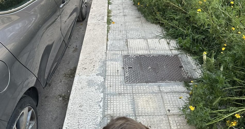 678667910_3450683851767021_6918511322789479069_n (1)