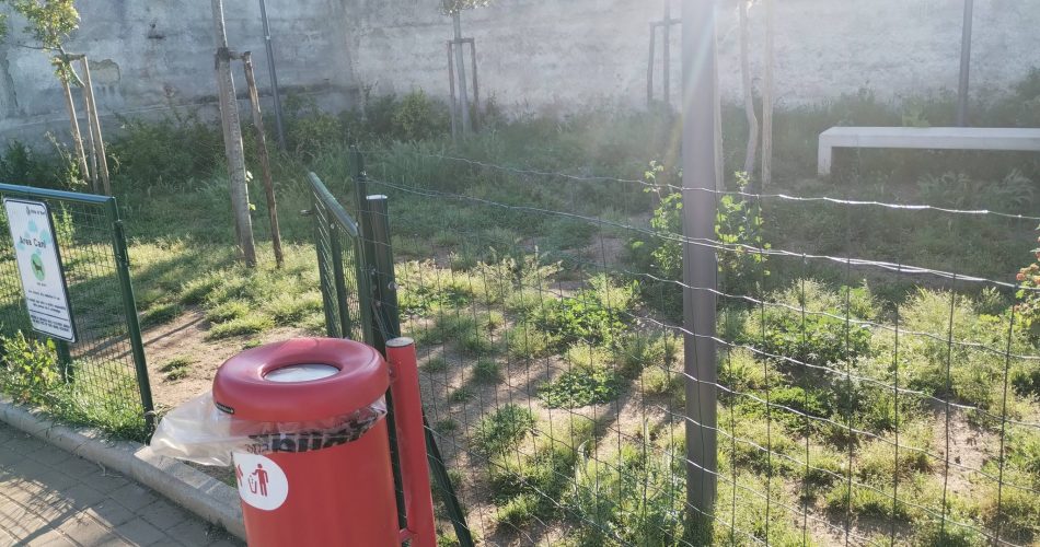 681261442_952306920874875_4592655977218376573_n