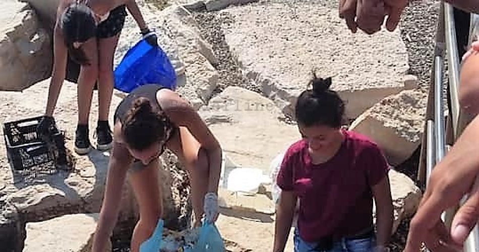 69849321_2391437960948311_5824473607589330944_n