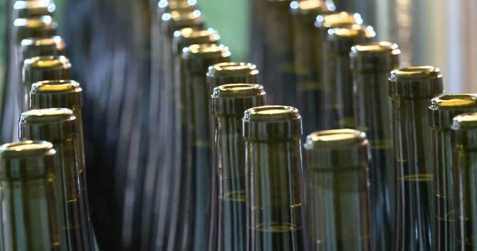 Produzione Di Bevande Impianto Di Imbottigliamento Monotono Vinificazione