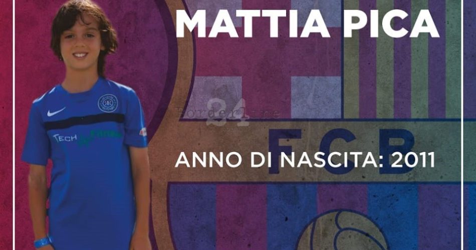mattia pica