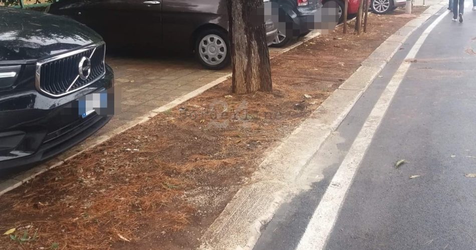 auto parcheggiate su marcipiede