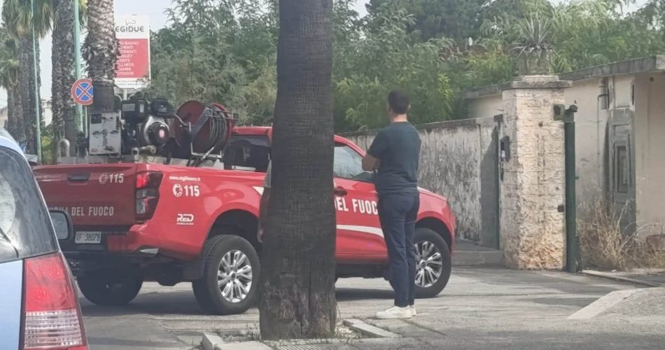 Foto Facebook Vito Bozzi sindaco Binetto