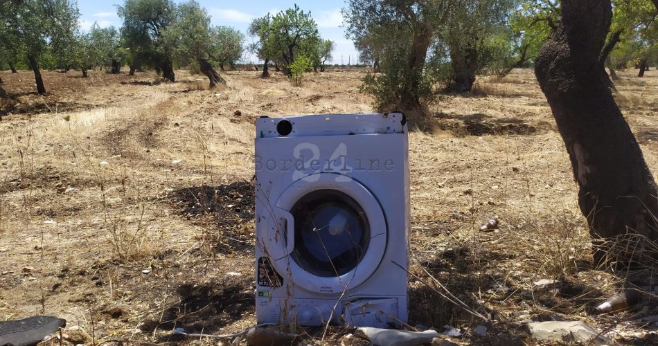 81b8d82d-cfc6-44d5-b4d9-a859231e971c