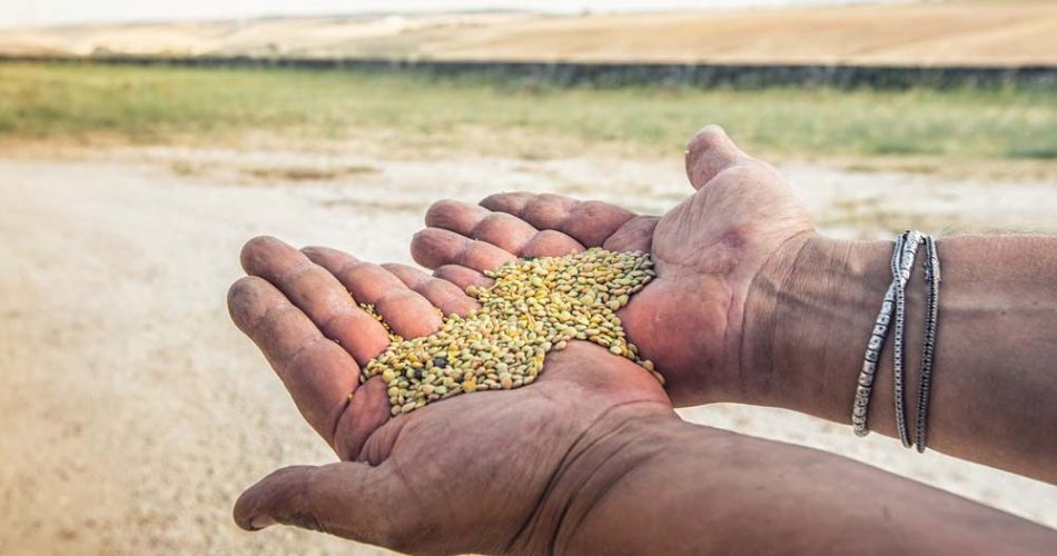 foto: sito web Andriani Spa