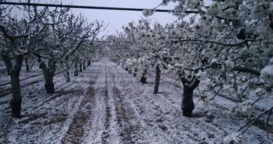 neve agricoltura