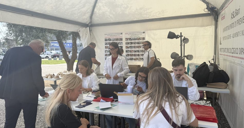 Asl fiera