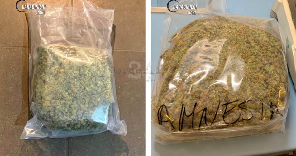 BITONTO DROGA amnesia marijuana