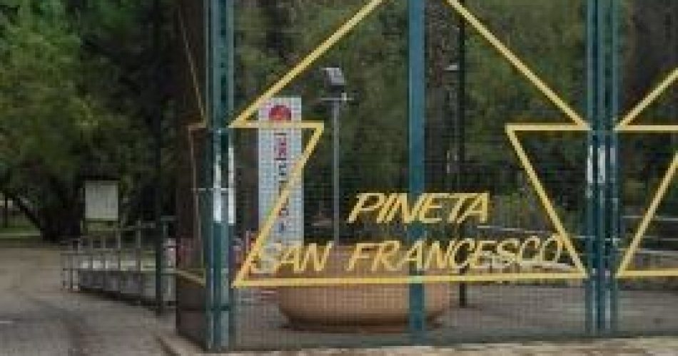 La pineta di San Francesco