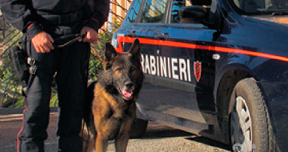 Cinofili carabinieri Cinofili carabinieri