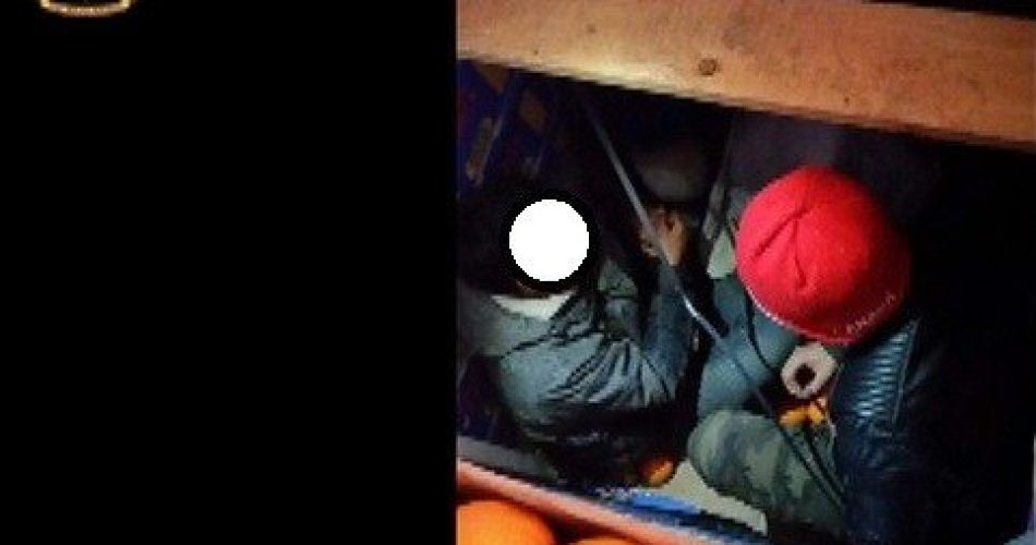 Clandestini tra le arance