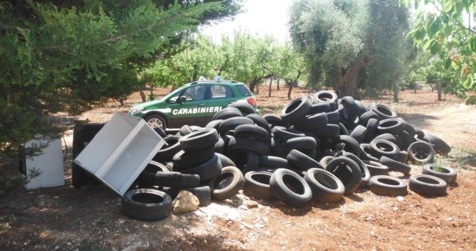 operazione forestale conversano