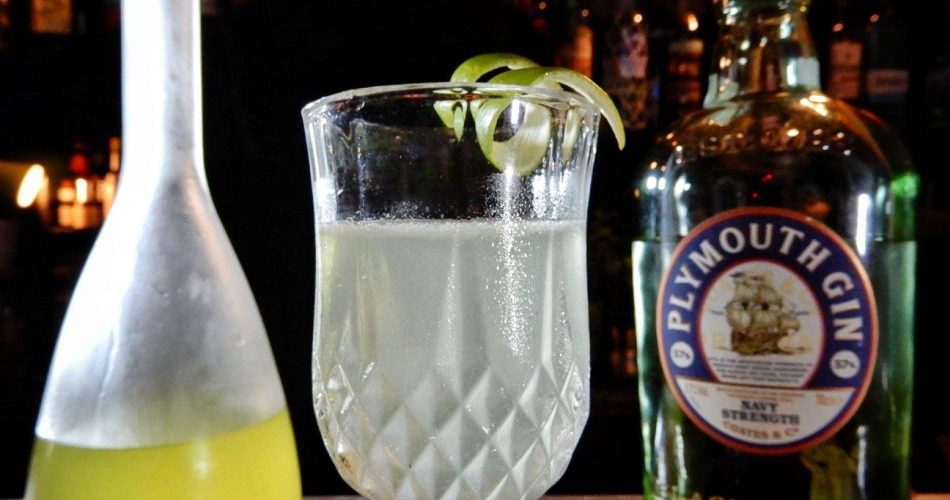 Gimlet: Plymouth Gin Navy e Cordial Lime - Photo: Luca Desiderato