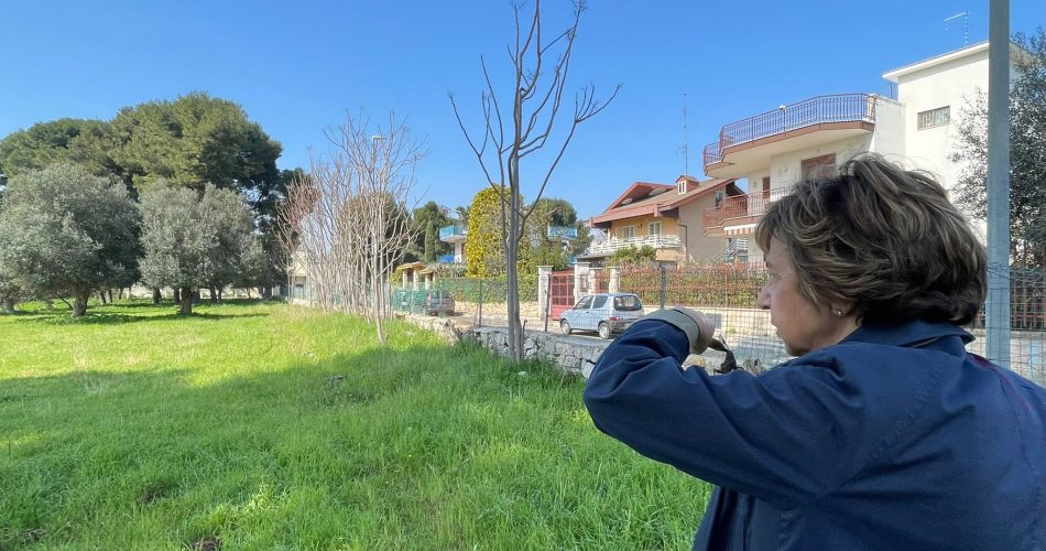 Ex compendio Rai Ceglie