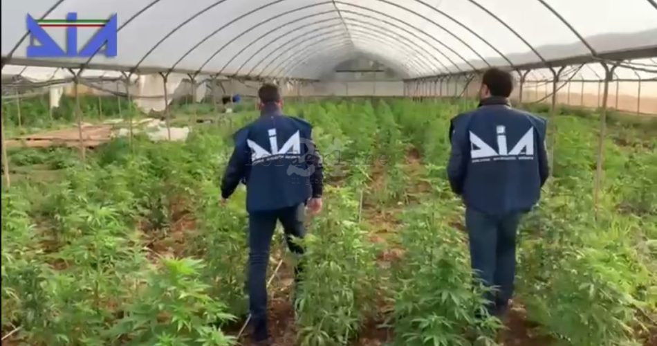 F8A57AAA-211D-4185-B05C-9EE7F9DDE522