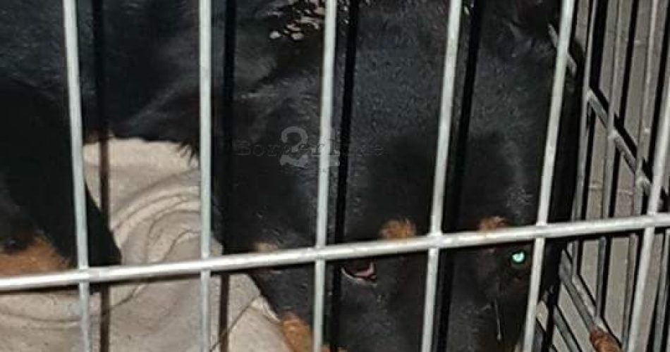 FB_IMG_1504994846489