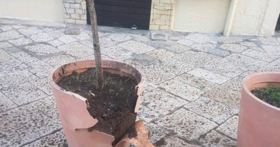 FB_IMG_1512312600036_crop_600x480-800x640