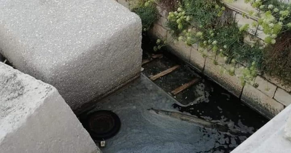 FB_IMG_1534711638404