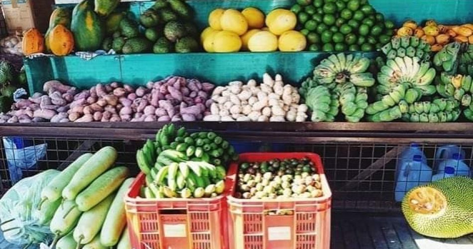 FB_IMG_1545583124976