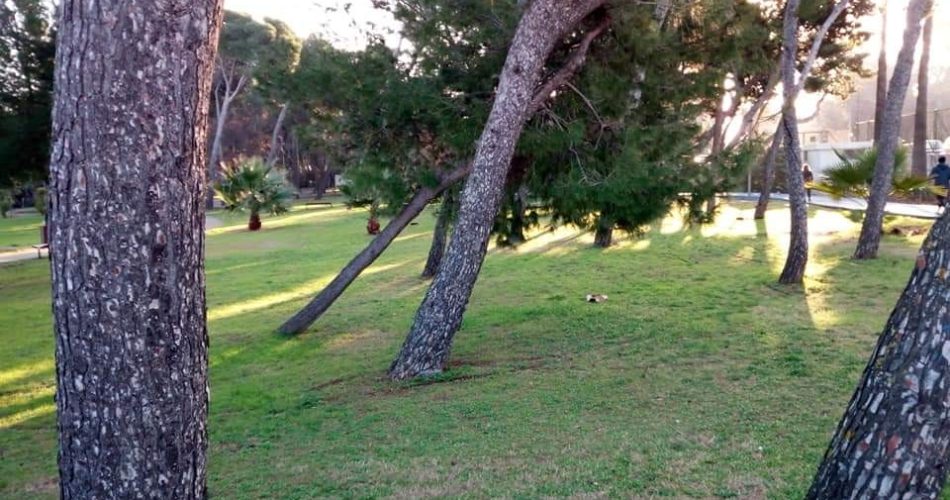 Foto Nicola Loconsole