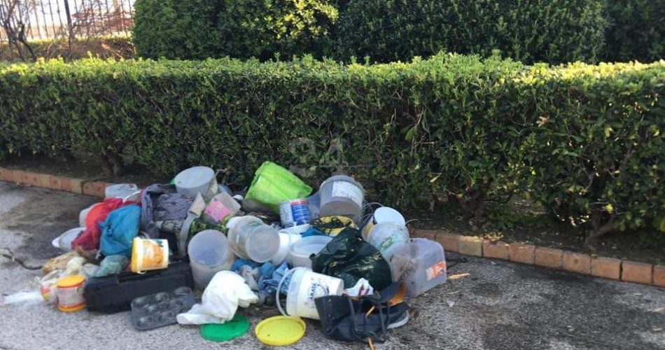 FB_IMG_1553773549371