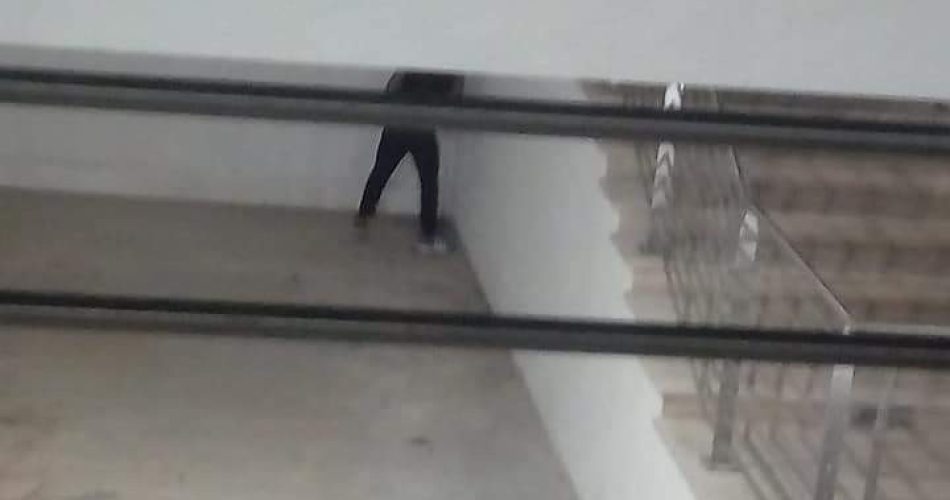 FB_IMG_1566036925045