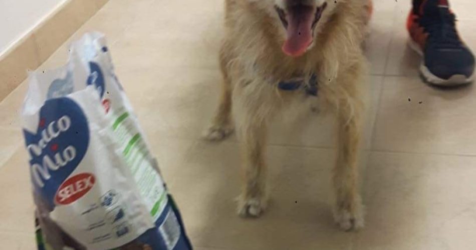 FB_IMG_1567711517323