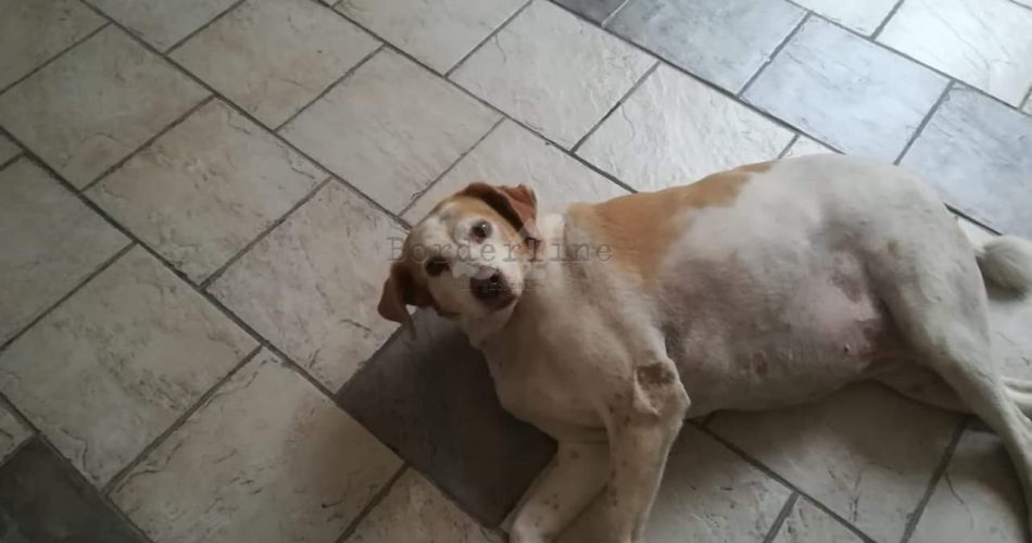 FB_IMG_1571085019490