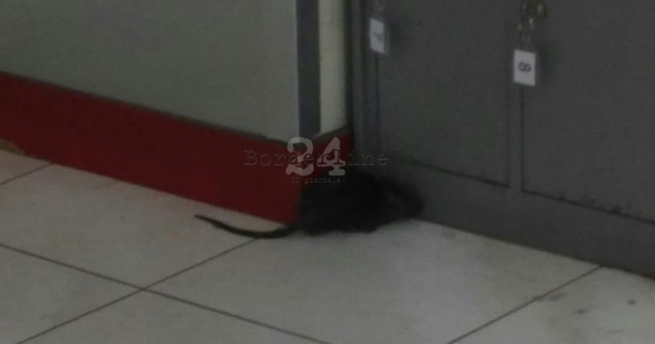 FB_IMG_1571335158962