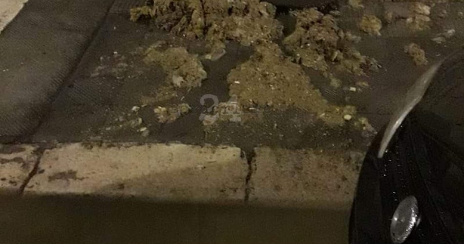 FB_IMG_1572643457345