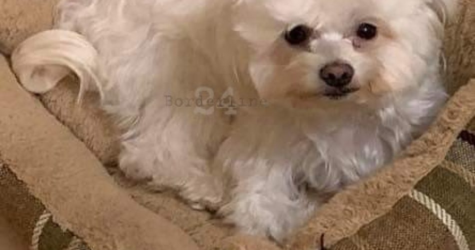 FB_IMG_1573763621924