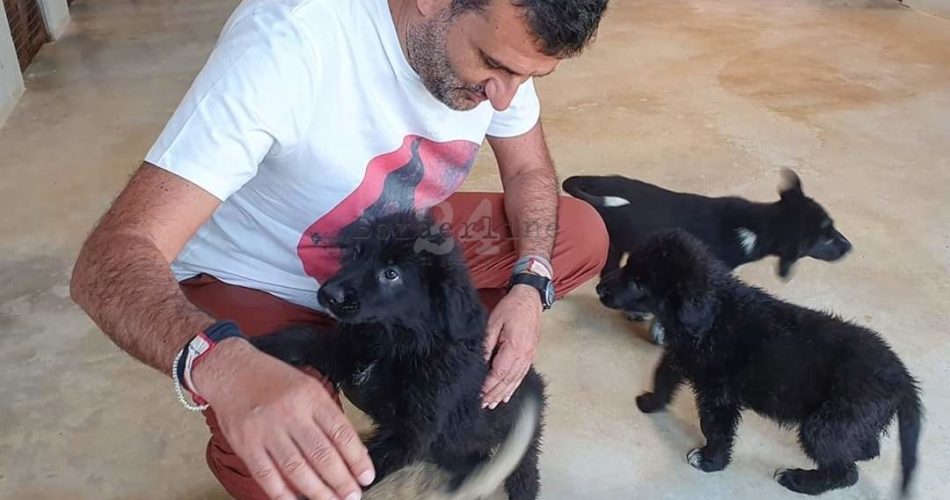 FB_IMG_1593958817591