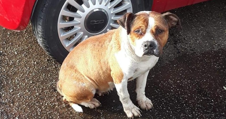 FB_IMG_1609707572051