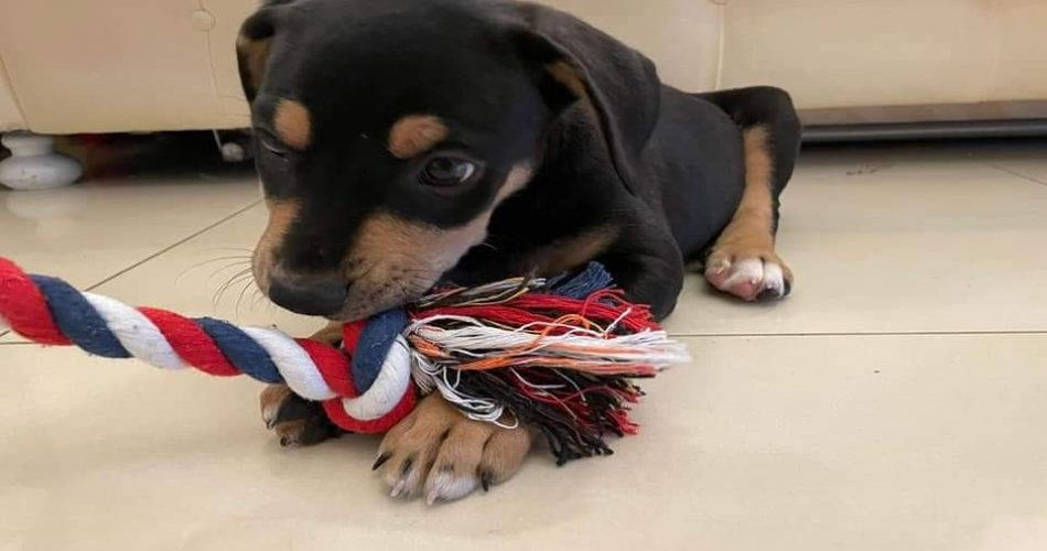 FB_IMG_1626012163221