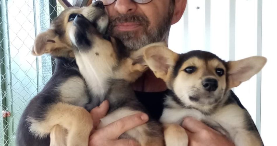 FB_IMG_1647812696722