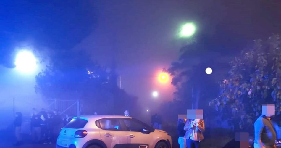 FB_IMG_1667149081724_1